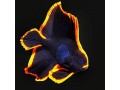 Batfish