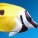 Rabbitfish