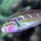 Wrasses